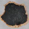 Coffee table petrified wood 55151