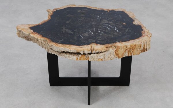 Coffee table petrified wood 55151