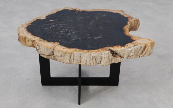 Coffee table petrified wood 55152