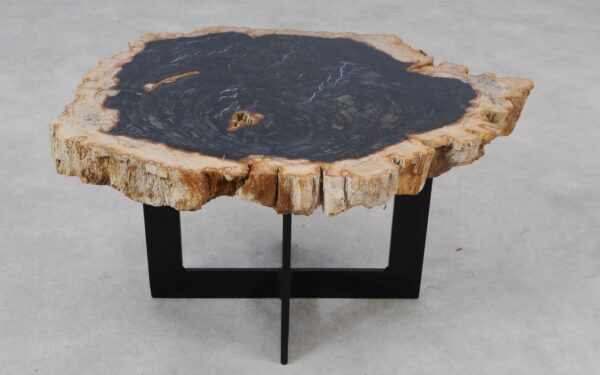 Coffee table petrified wood 55153