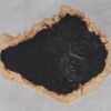 Coffee table petrified wood 55154