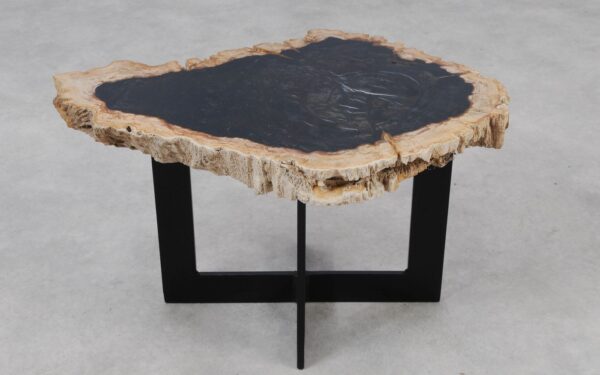 Coffee table petrified wood 55154