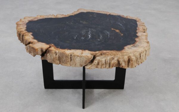 Coffee table petrified wood 55155