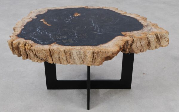 Coffee table petrified wood 55156