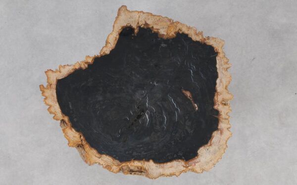 Coffee table petrified wood 55157