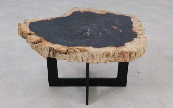 Coffee table petrified wood 55157