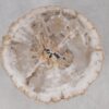 Coffee table petrified wood 55159