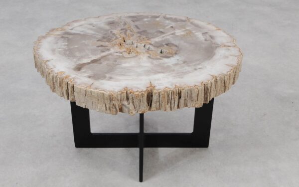 Coffee table petrified wood 55159