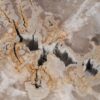 Coffee table petrified wood 55159