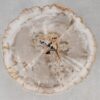 Coffee table petrified wood 55160