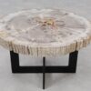 Coffee table petrified wood 55160