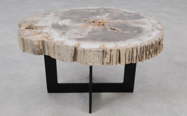 Coffee table petrified wood 55161