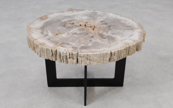 Coffee table petrified wood 55163