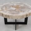 Coffee table petrified wood 55164