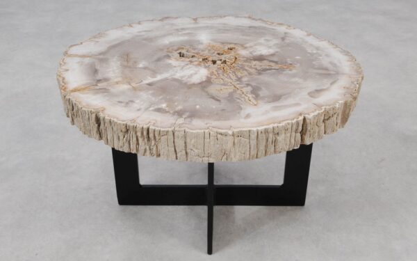 Coffee table petrified wood 55164