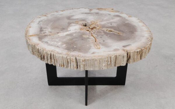 Coffee table petrified wood 55165