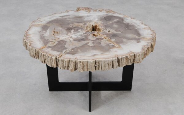 Coffee table petrified wood 55166