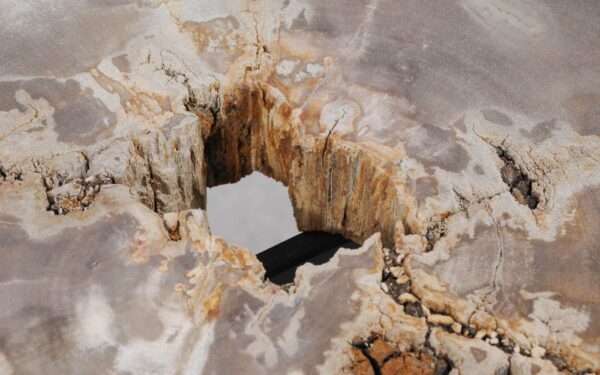 Coffee table petrified wood 55166