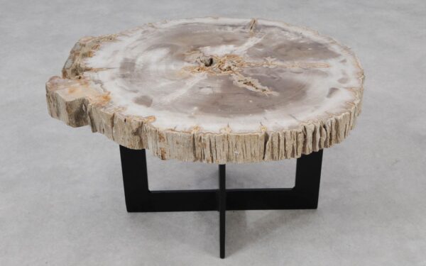 Coffee table petrified wood 55167