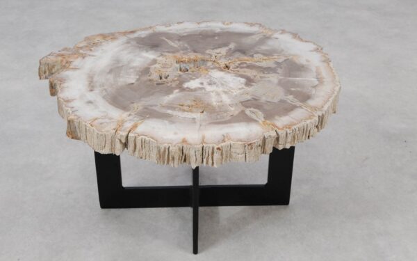 Coffee table petrified wood 55168