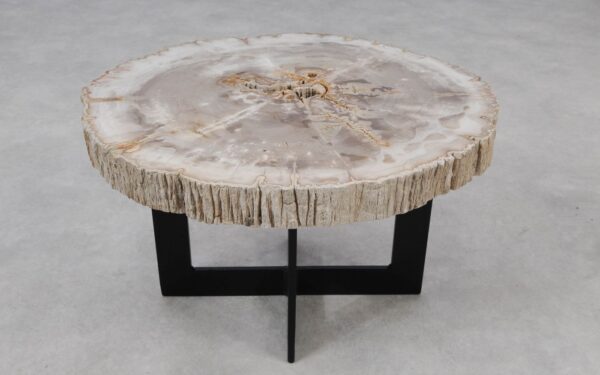 Coffee table petrified wood 55169