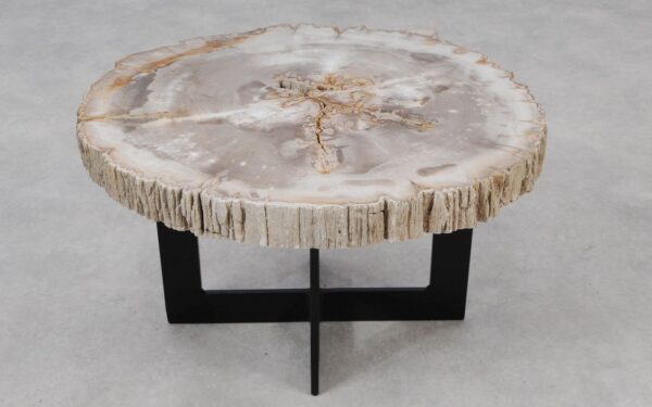 Coffee table petrified wood 55170