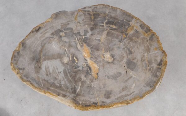 Coffee table petrified wood 55176