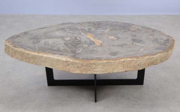 Coffee table petrified wood 55176