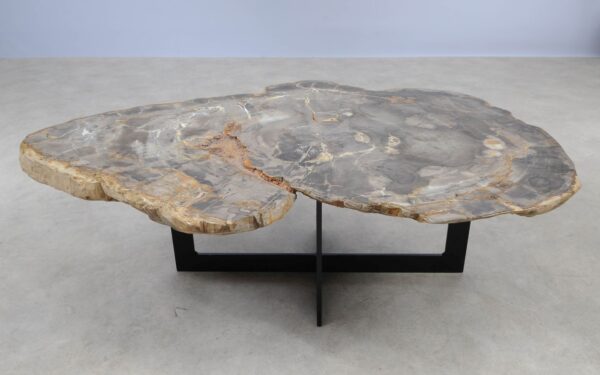 Coffee table petrified wood 55177