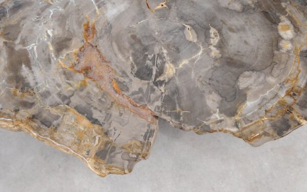 Coffee table petrified wood 55177