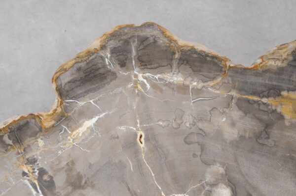 Coffee table petrified wood 55177