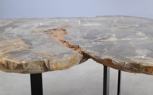 Coffee table petrified wood 55177