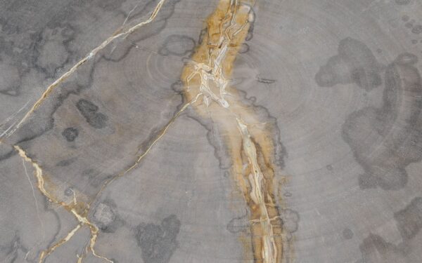 Coffee table petrified wood 55178