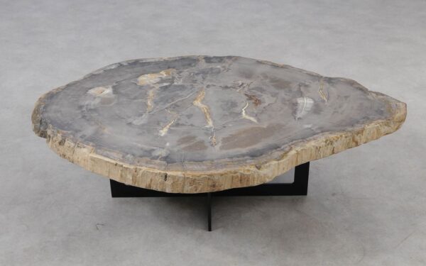 Coffee table petrified wood 55178