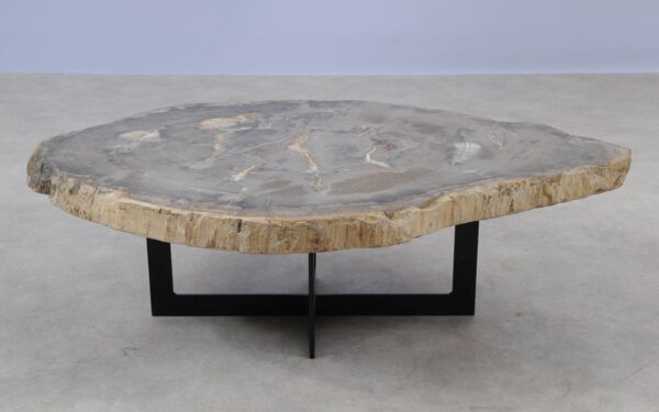 Coffee table petrified wood 55178