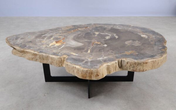 Coffee table petrified wood 55179