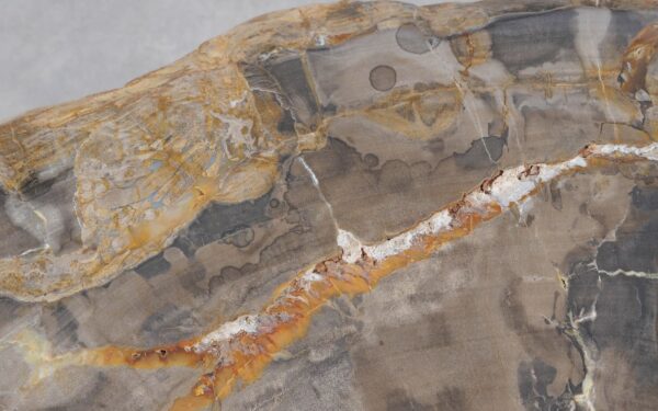 Coffee table petrified wood 55179