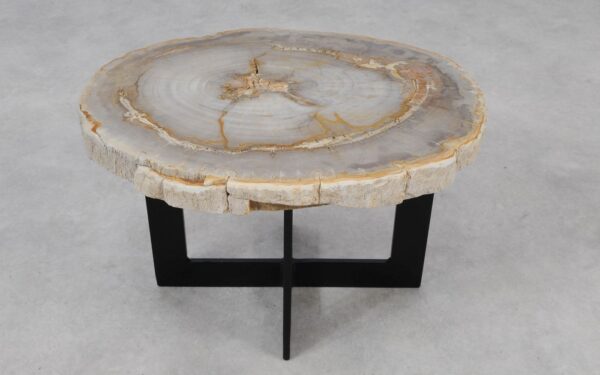 Coffee table petrified wood 55183