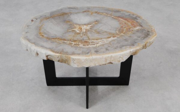 Coffee table petrified wood 55184