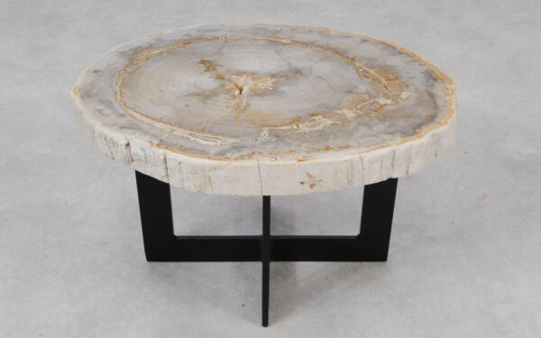 Coffee table petrified wood 55185