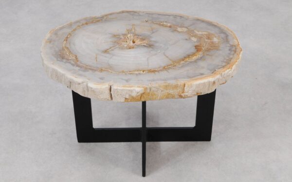 Coffee table petrified wood 55186