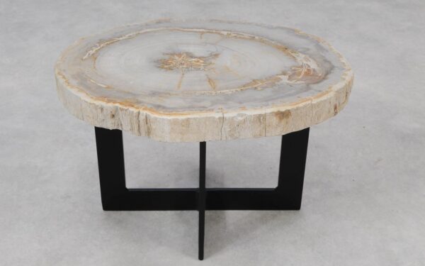 Coffee table petrified wood 55187