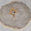 Coffee table petrified wood 55188
