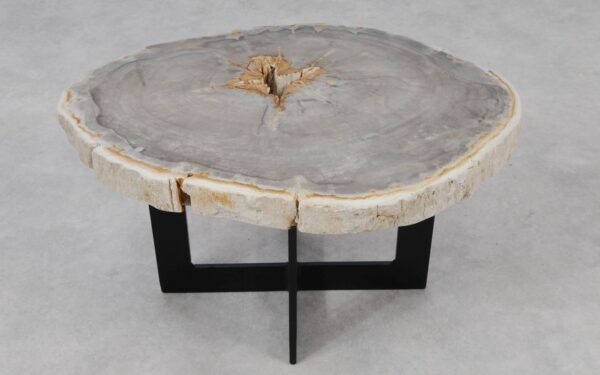 Coffee table petrified wood 55188