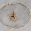 Coffee table petrified wood 55189