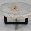 Coffee table petrified wood 55189