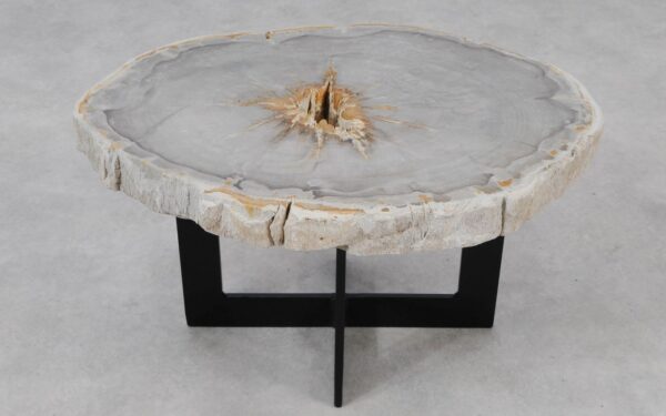 Coffee table petrified wood 55189