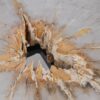 Coffee table petrified wood 55189