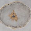 Coffee table petrified wood 55190