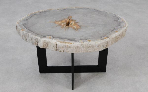 Coffee table petrified wood 55190